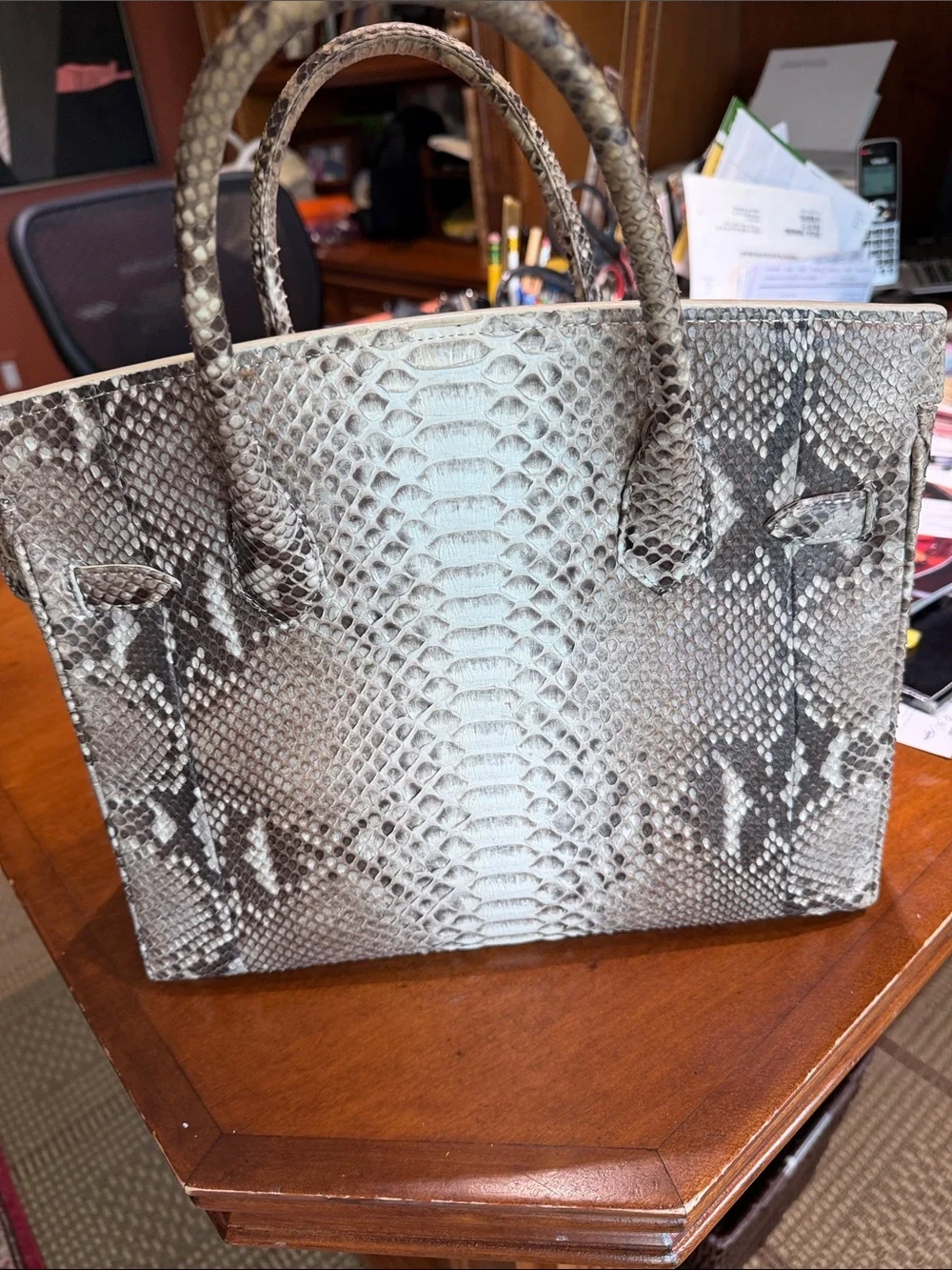Structured Genuine Python Skin  Satchel in Gray and Cream